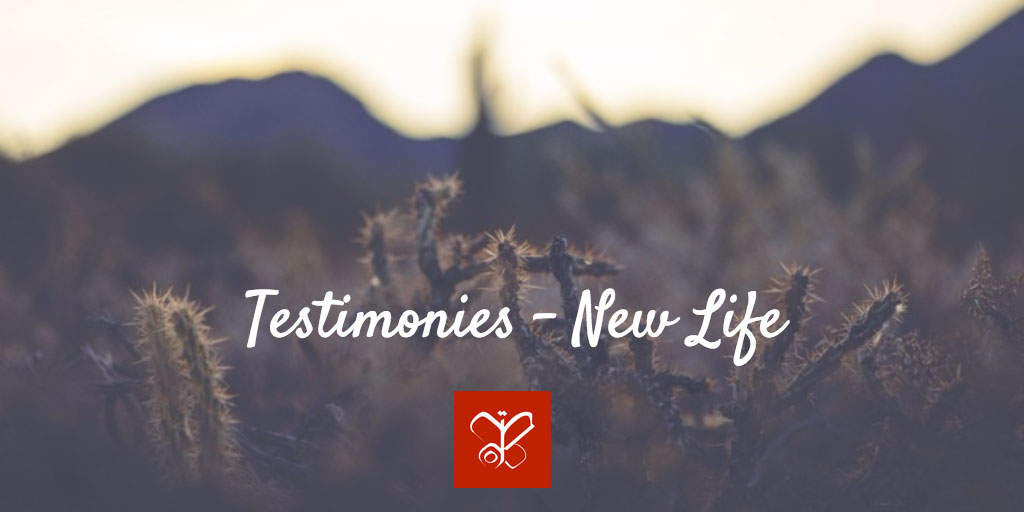 testimonies